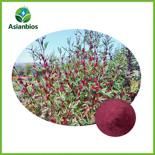 Roselle Extract Powder Roselle Extract Powder